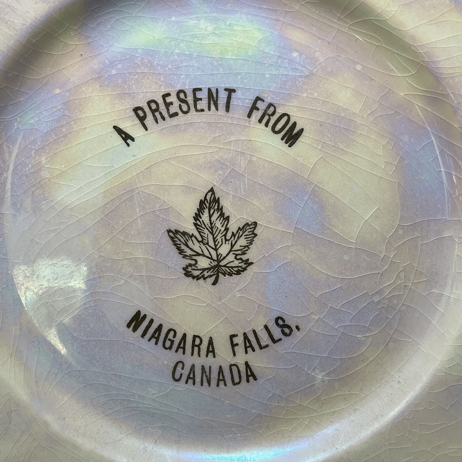 Vintage Niagara Falls Canada Pearlized Plate Gold Trim