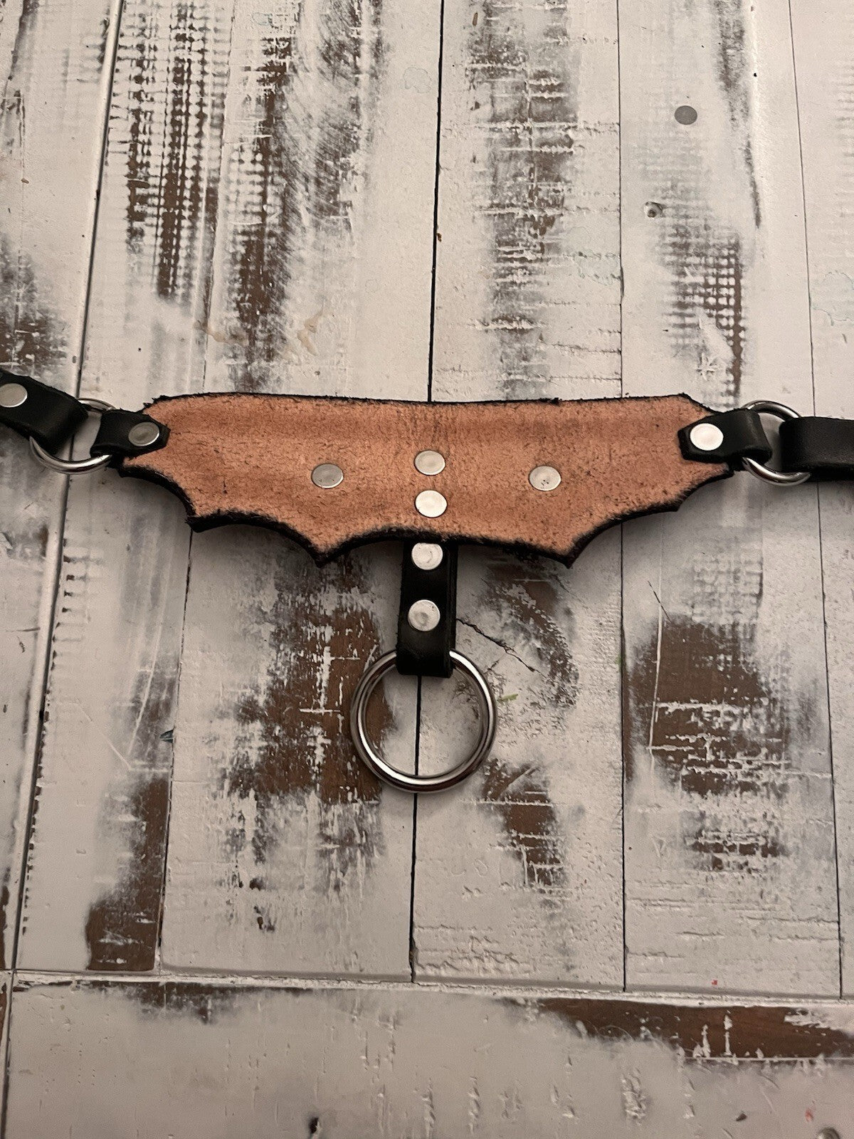 Gothic Black Leather Choker With Faux Leather Shiny Bat Wings - Goth Necklace