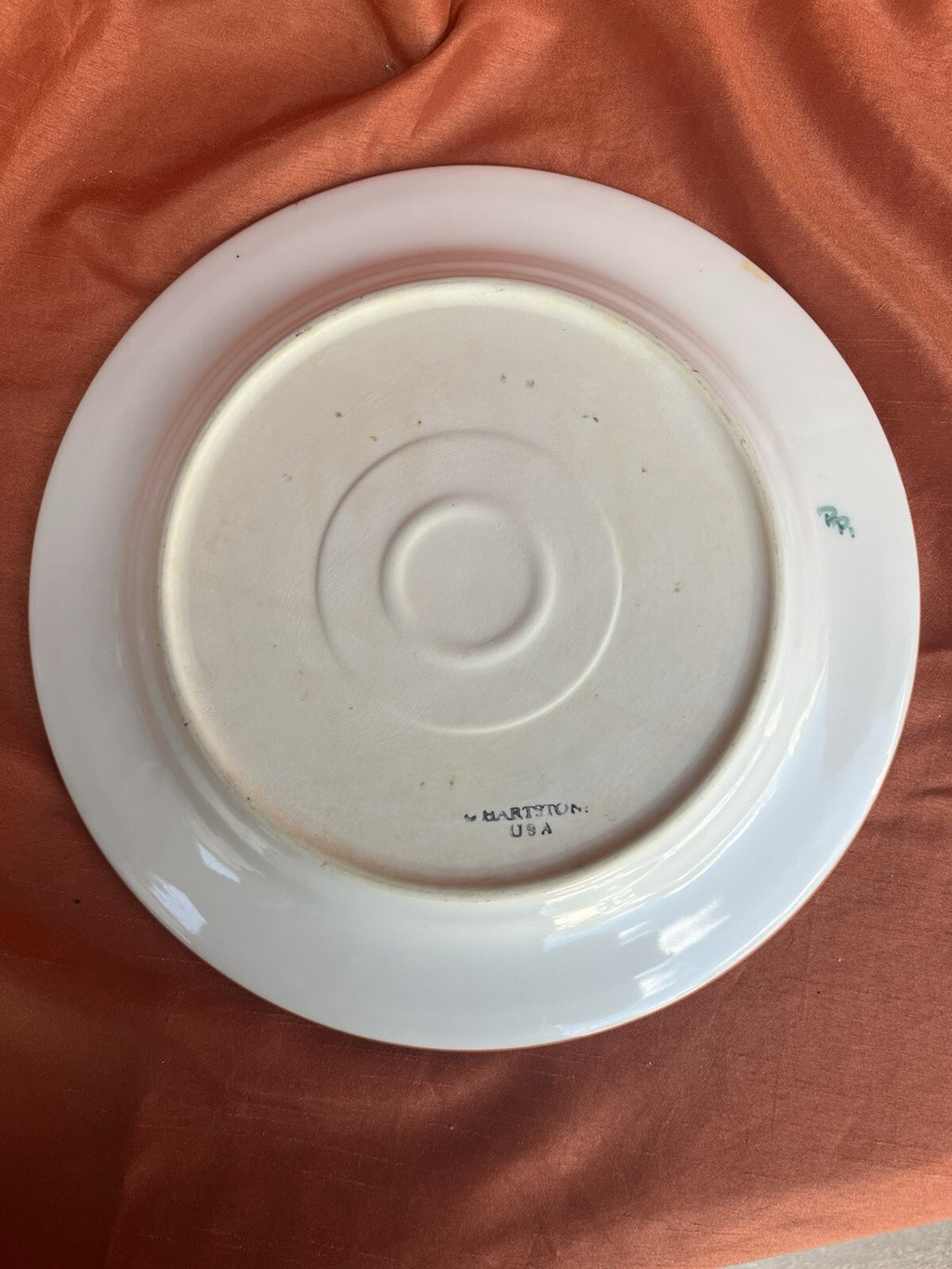 6 HARTSTONE USA "CHEYENNE" 11 1/4" DINNER PLATES HAND PAINTED. ****Some Fading