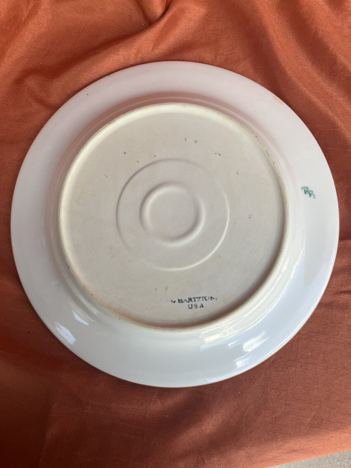 6 HARTSTONE USA "CHEYENNE" 11 1/4" DINNER PLATES HAND PAINTED. ****Some Fading