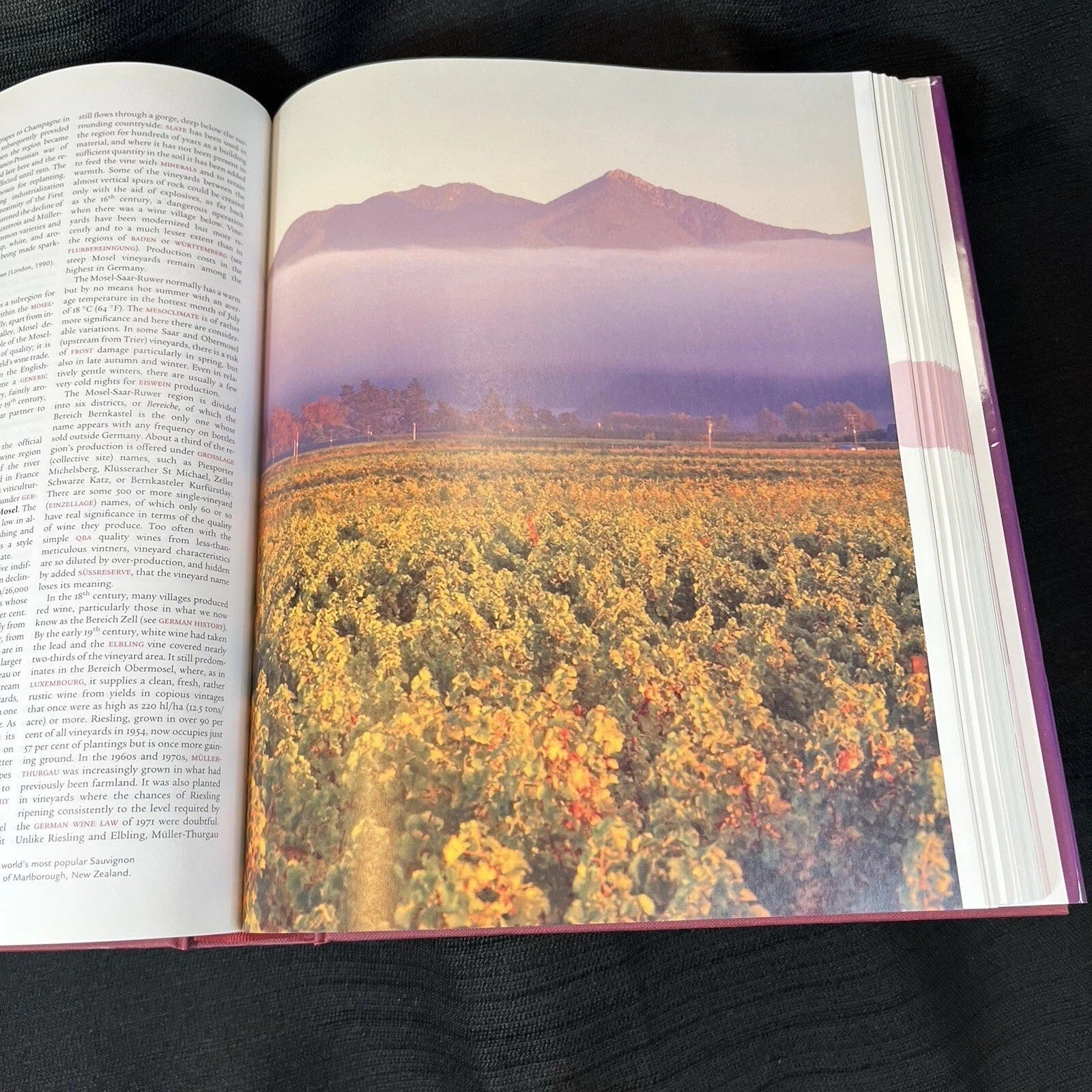 Oxford Companion to Wine, 3e by Jancis Robinson (2006, Hardcover)