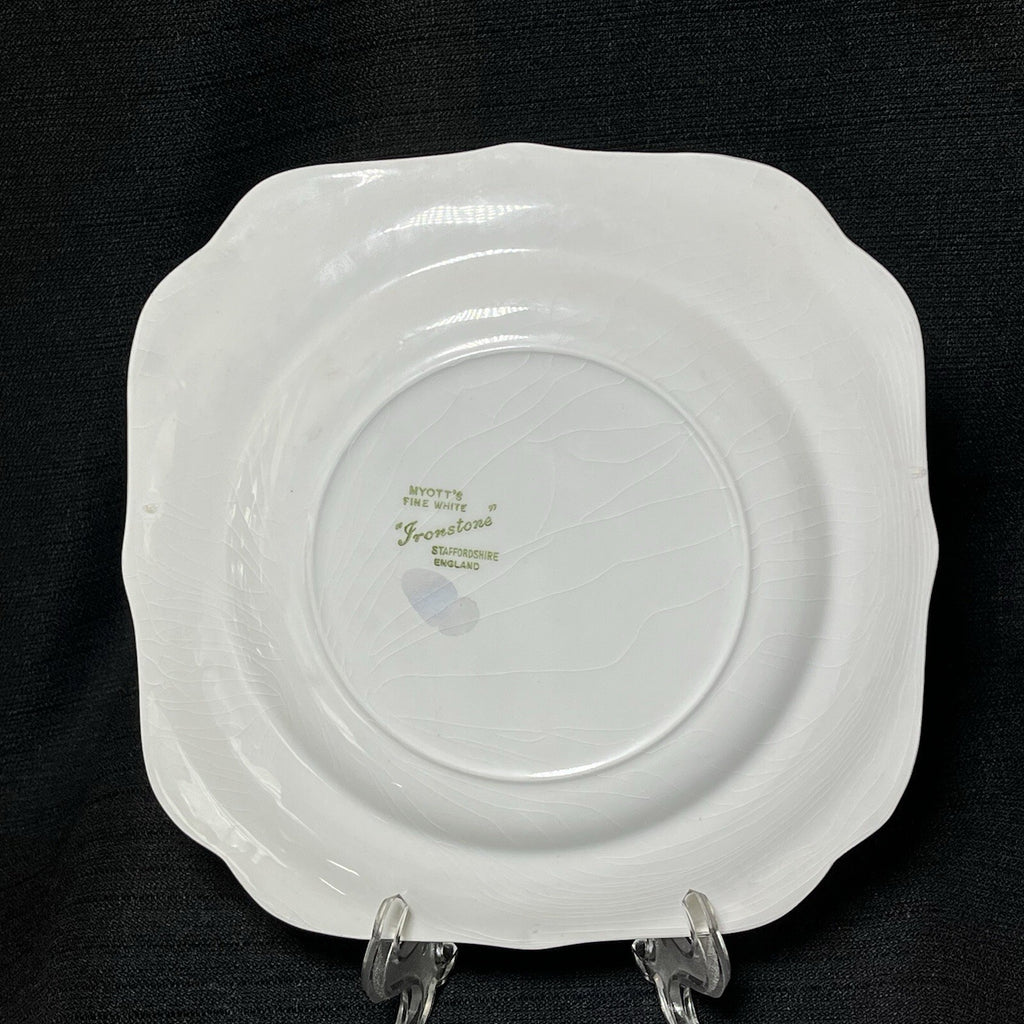 Vintage Niagara Falls Canada Pearlized Plate Gold Trim