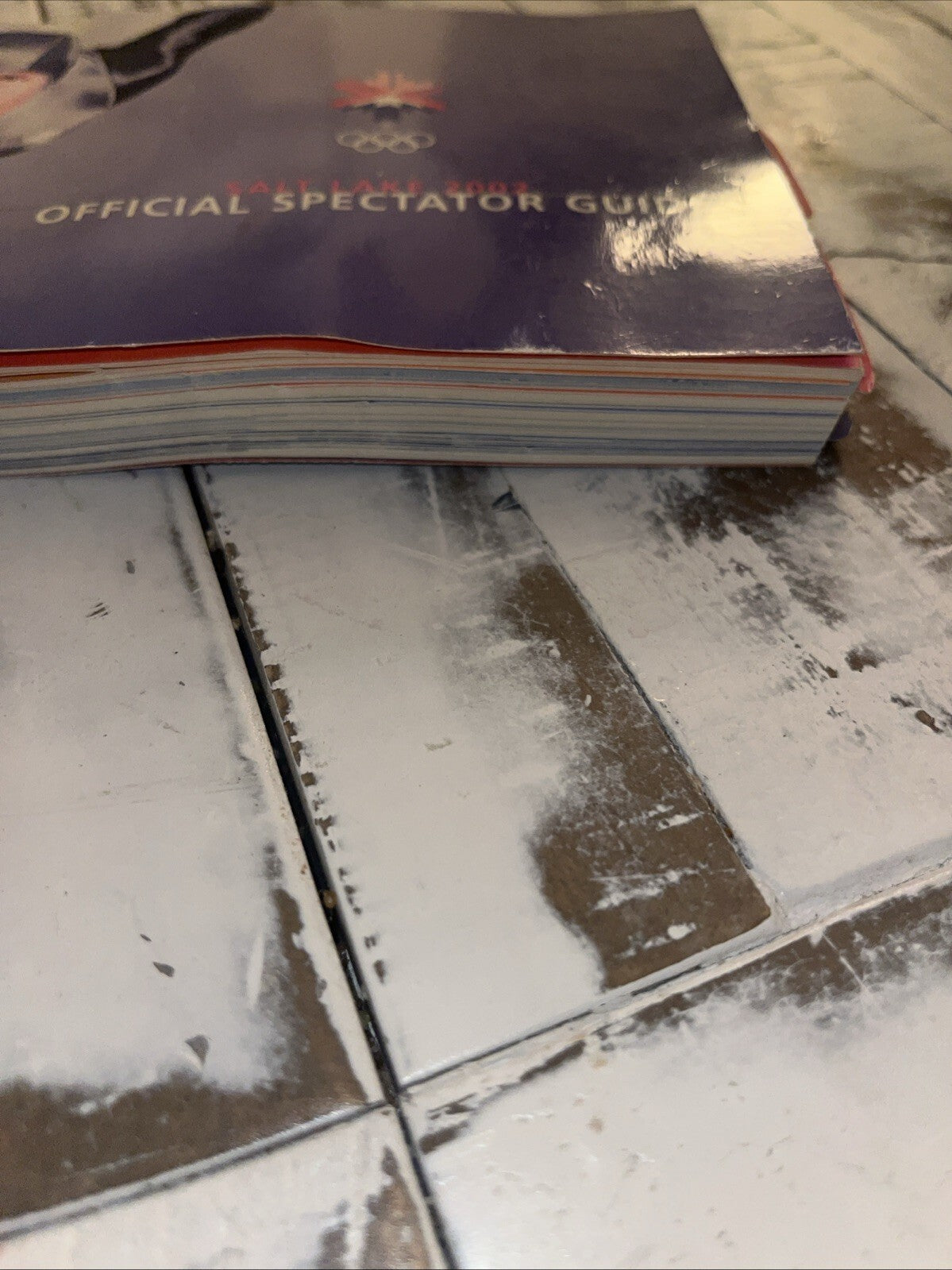2002 Salt Lake City WINTER OLYMPICS Official Spectator Guide
