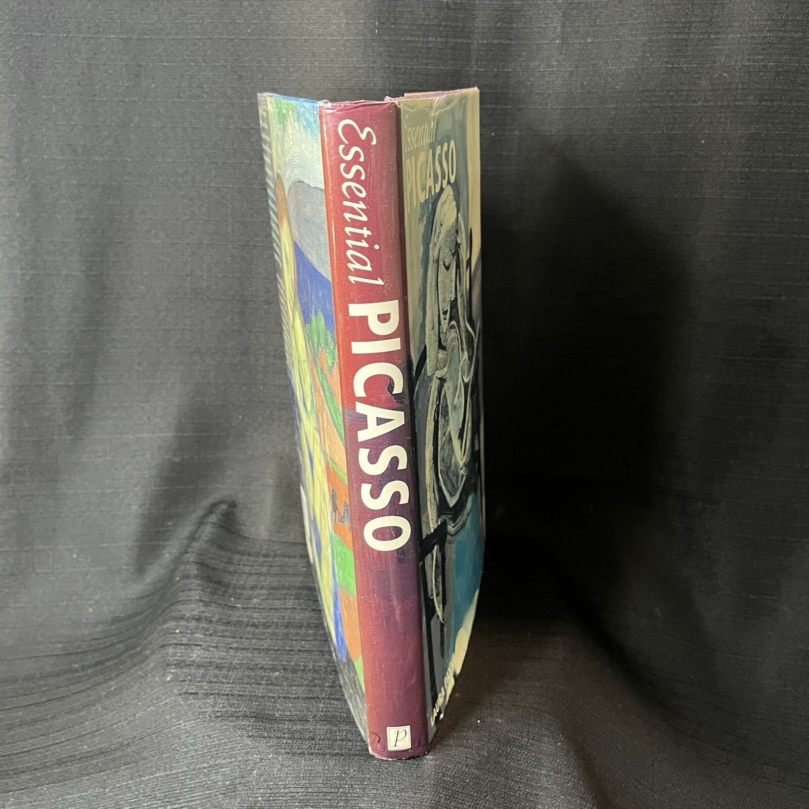 Essential Art Ser.: Picasso by Stephano Loria (2001, Hardcover)