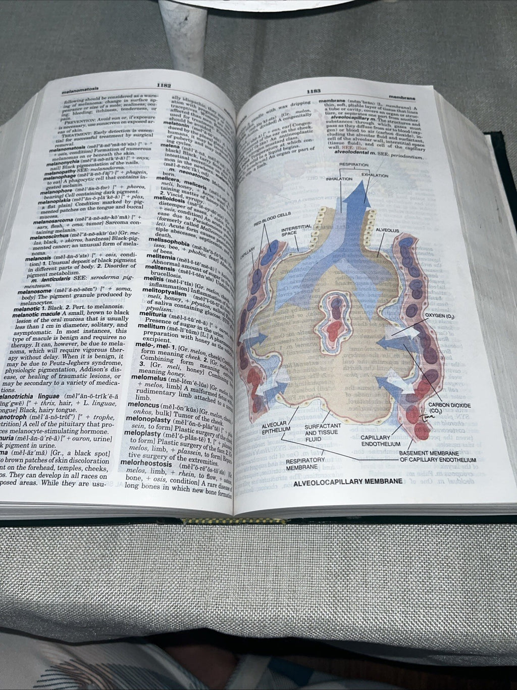 Taber's Cyclopedic Medical Dictionary Ser.: Taber's Cyclopedic Medical...