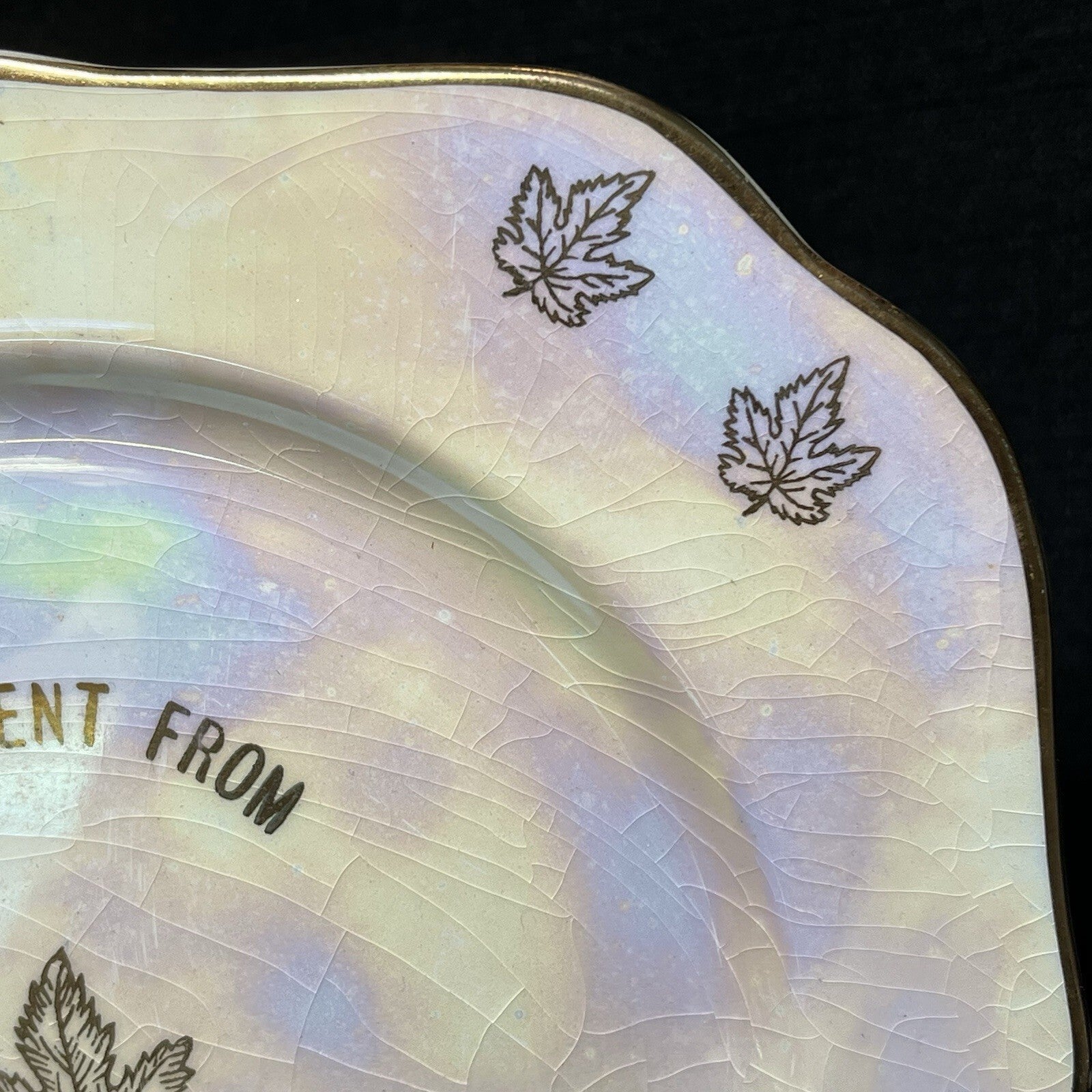 Vintage Niagara Falls Canada Pearlized Plate Gold Trim