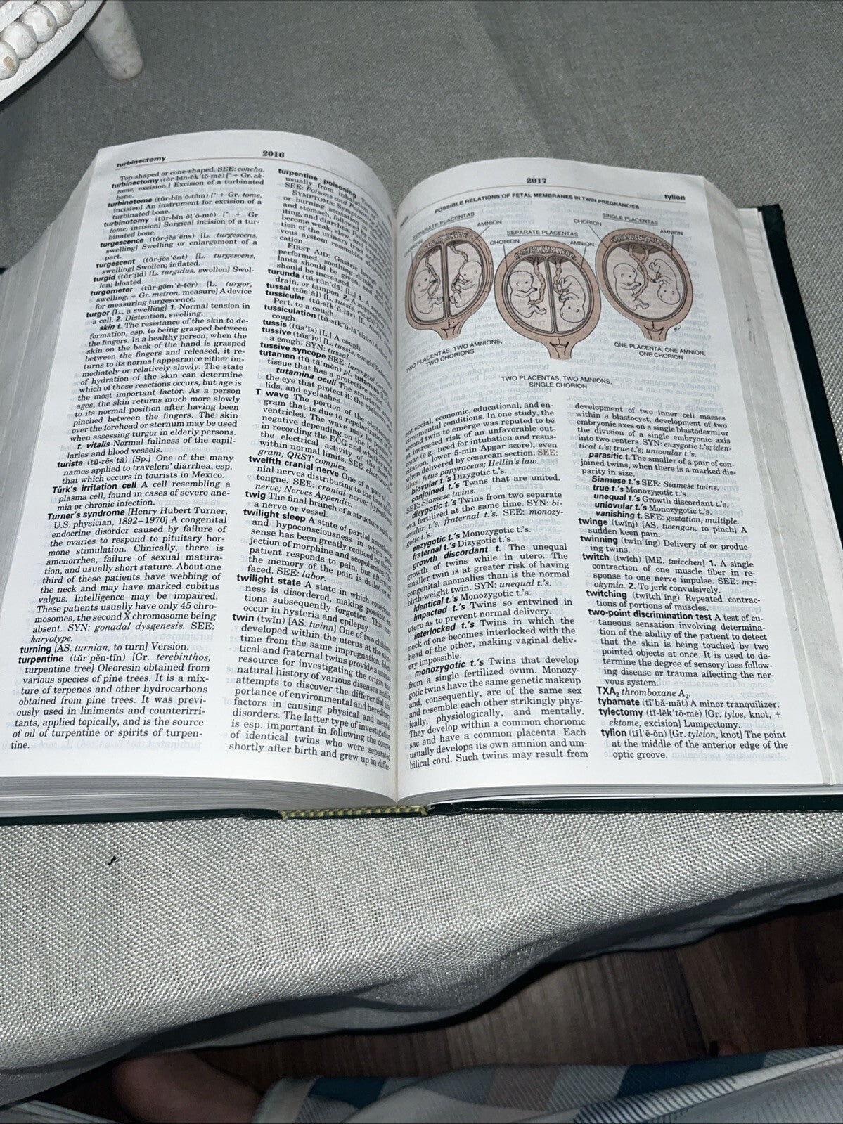 Taber's Cyclopedic Medical Dictionary Ser.: Taber's Cyclopedic Medical...