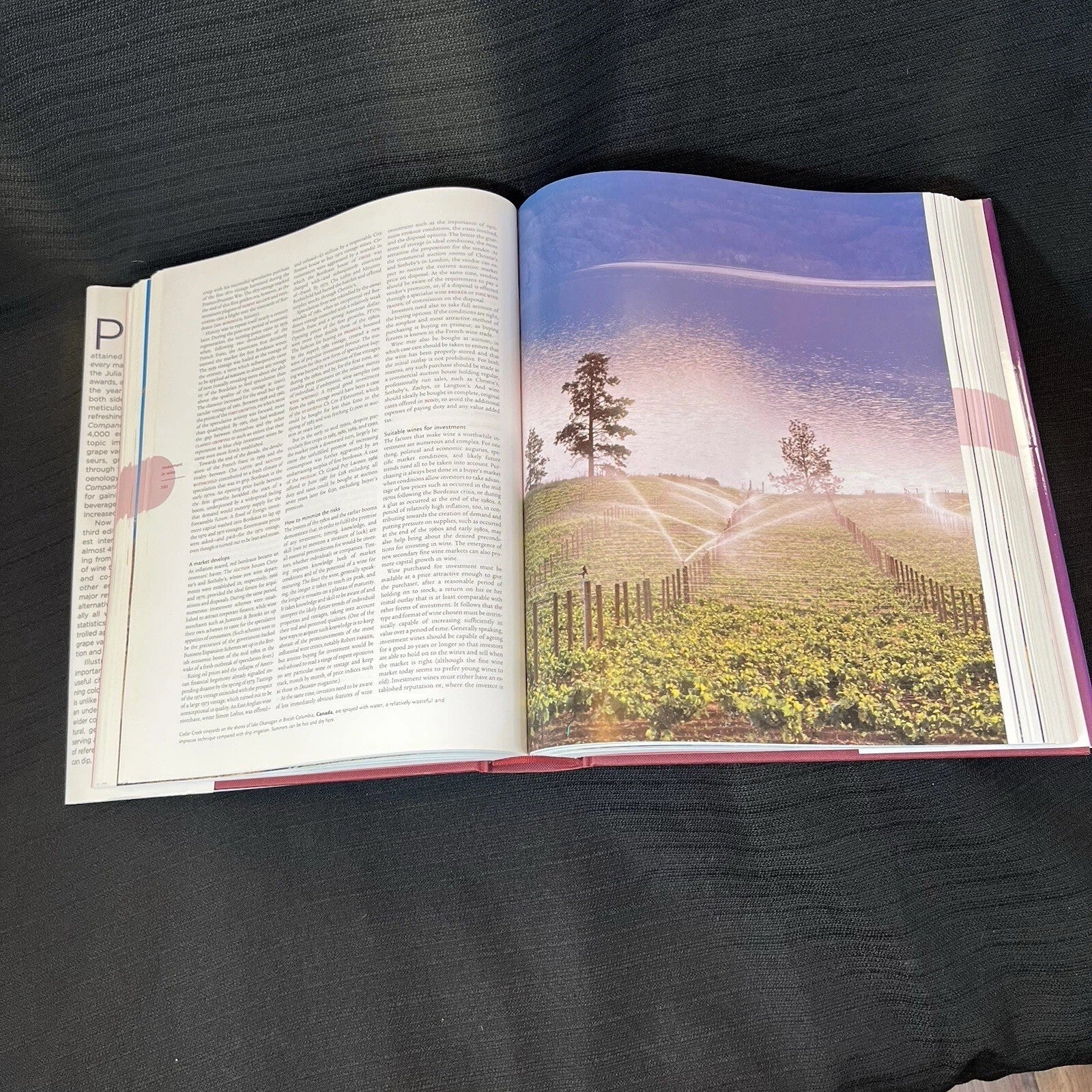 Oxford Companion to Wine, 3e by Jancis Robinson (2006, Hardcover)