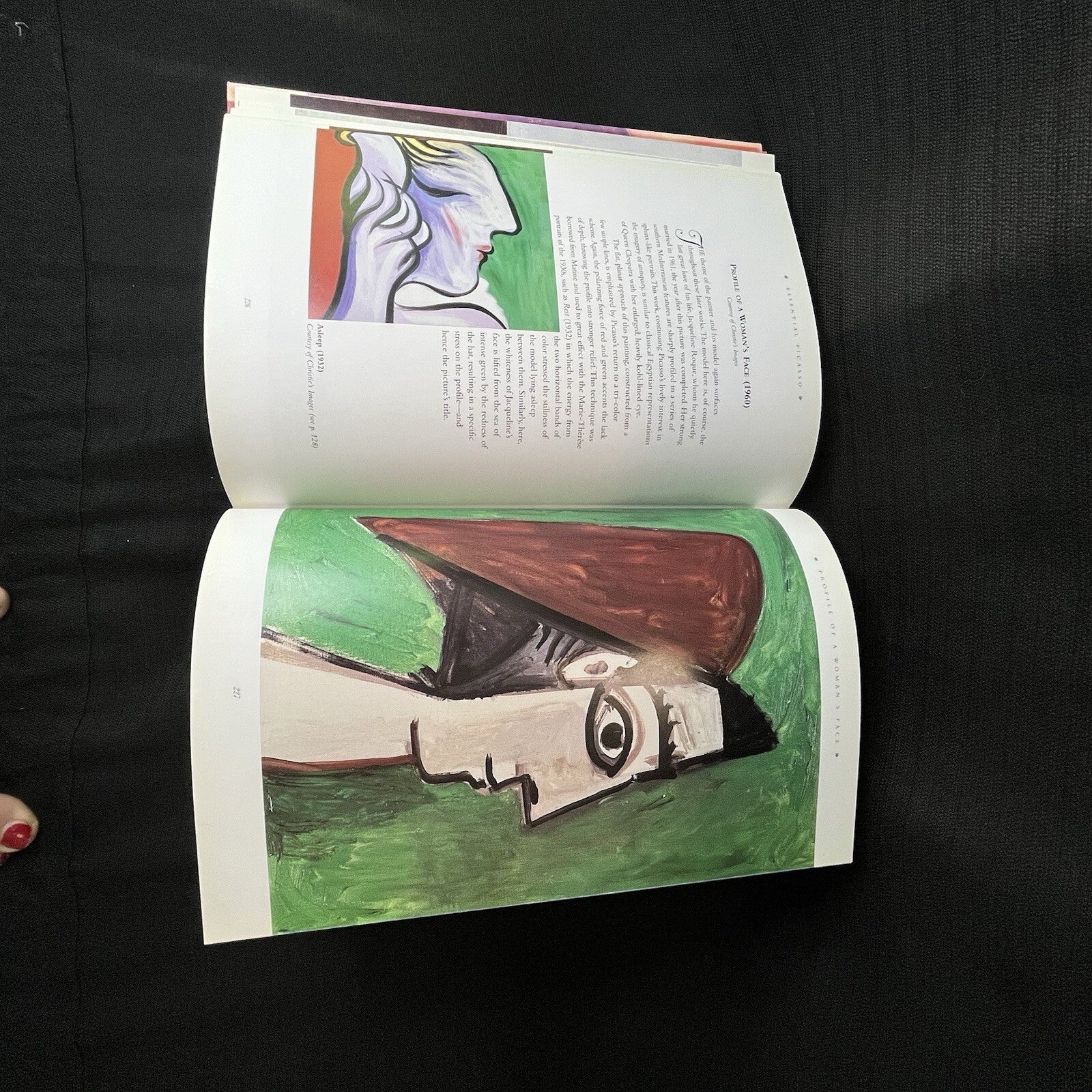 Essential Art Ser.: Picasso by Stephano Loria (2001, Hardcover)