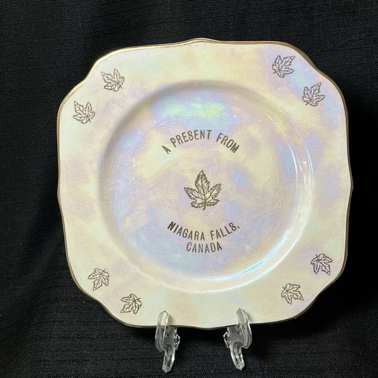 Vintage Niagara Falls Canada Pearlized Plate Gold Trim