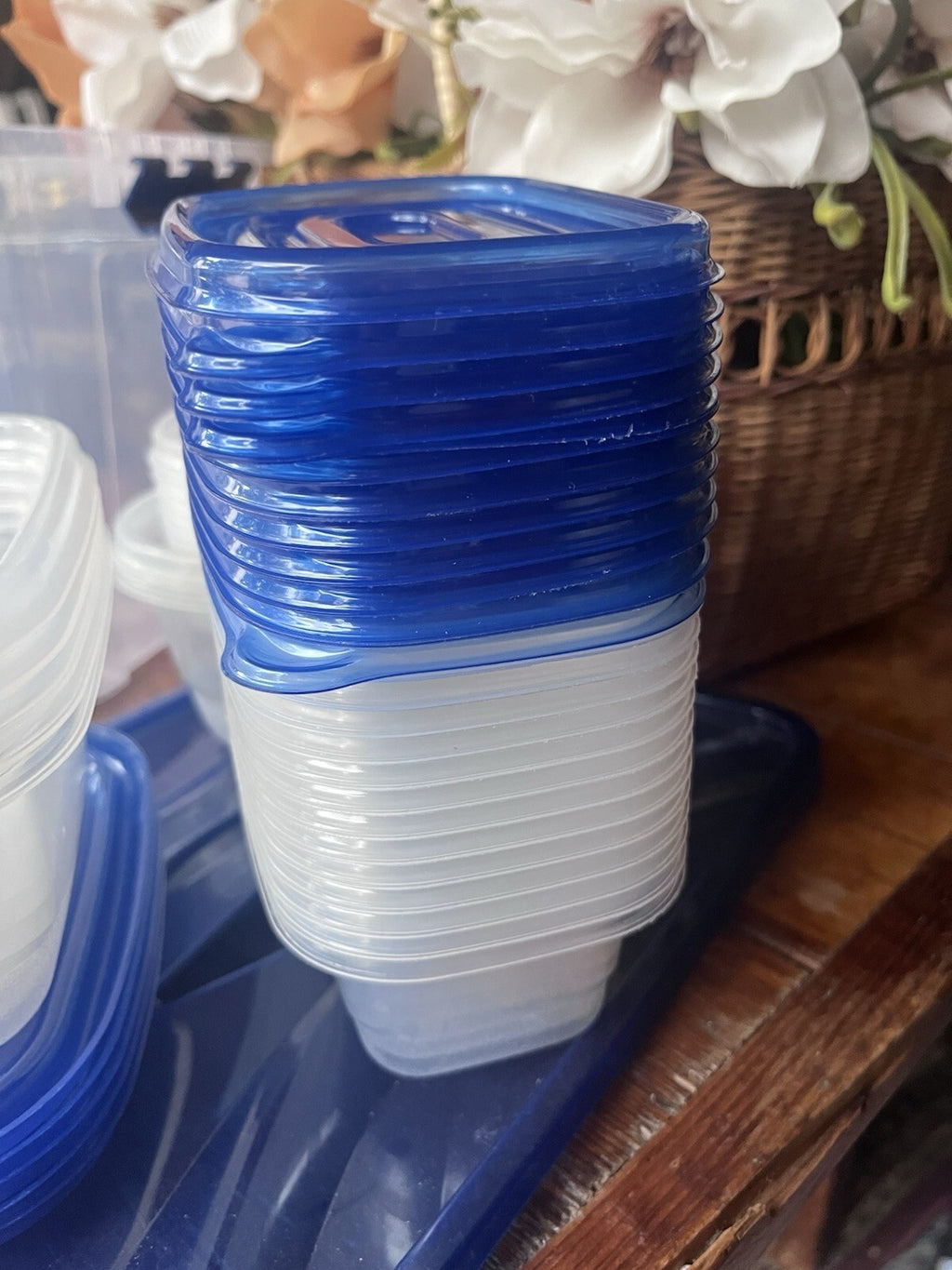 Clear Plastic Rectangular Container Set, Blue Snap Lids 17-32 oz