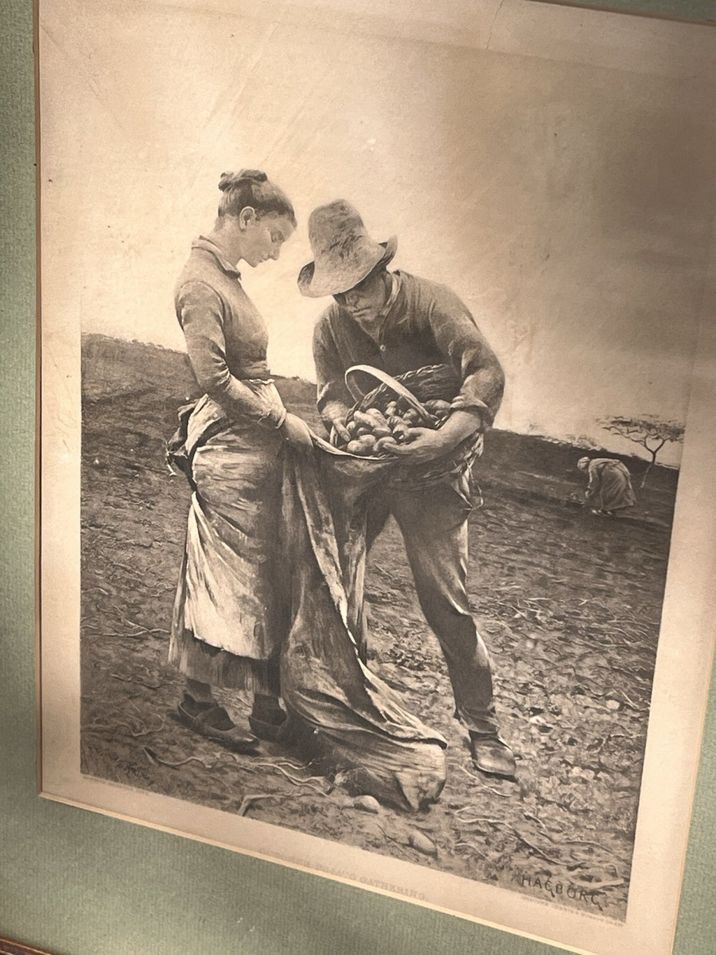 Potato Gathering August Hagborg, Framed Reprint