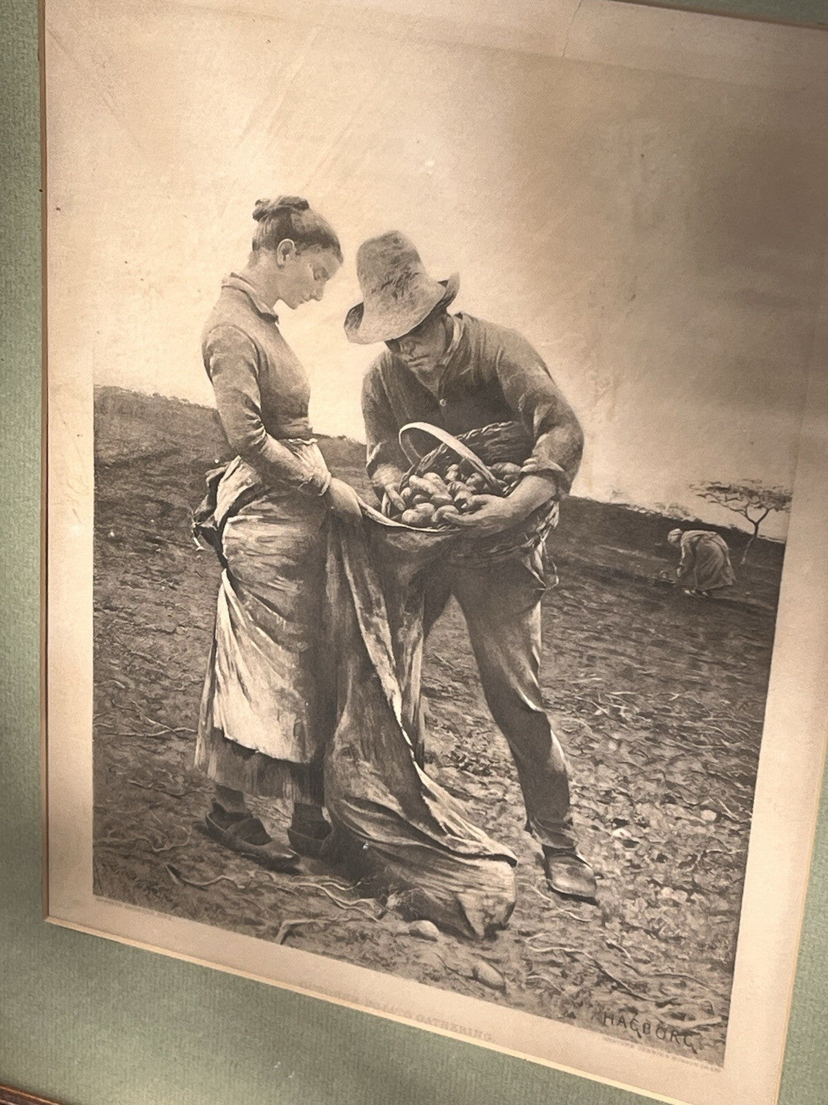 Potato Gathering August Hagborg, Framed Reprint