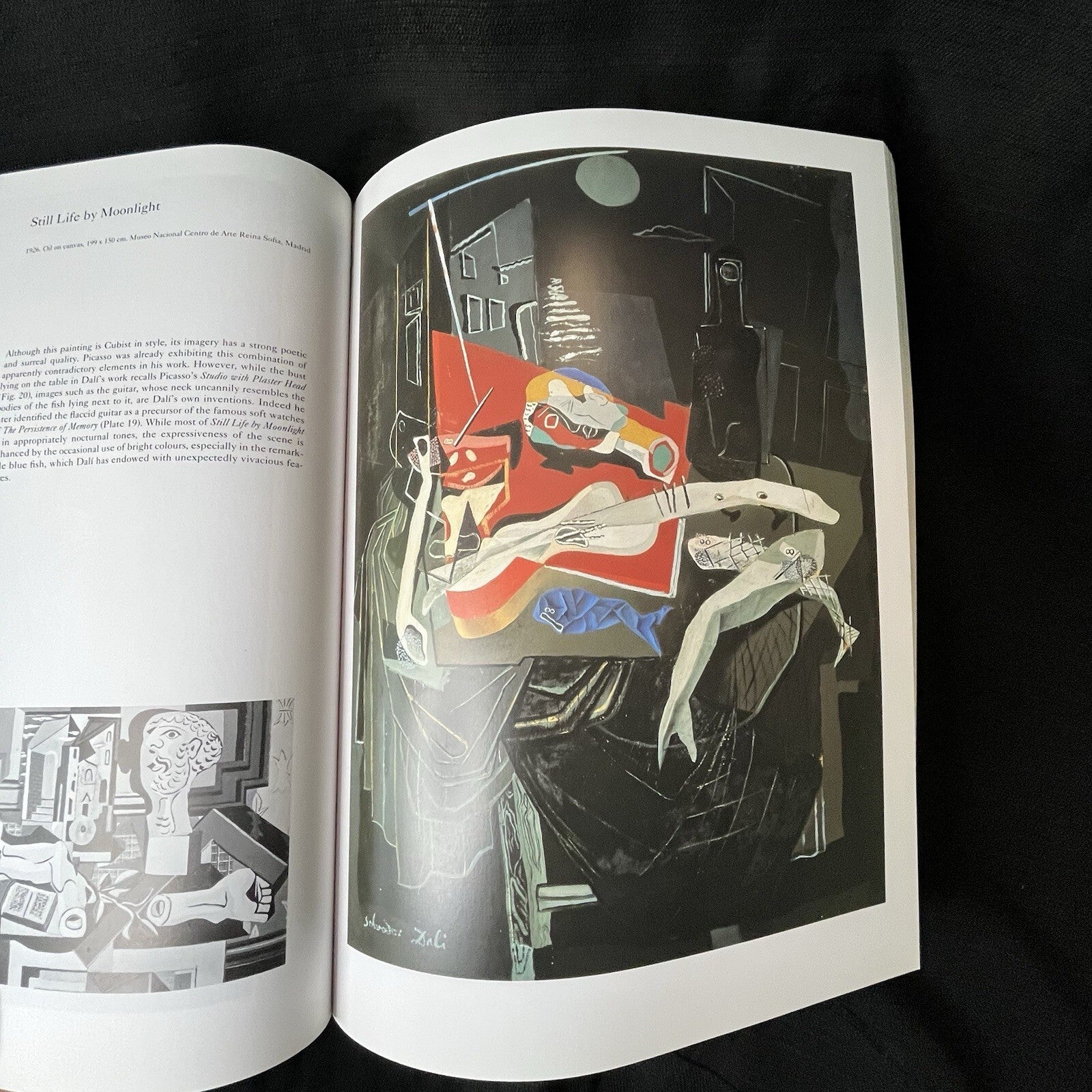 Dalí by Christopher Masters (2020, Trade Paperback)